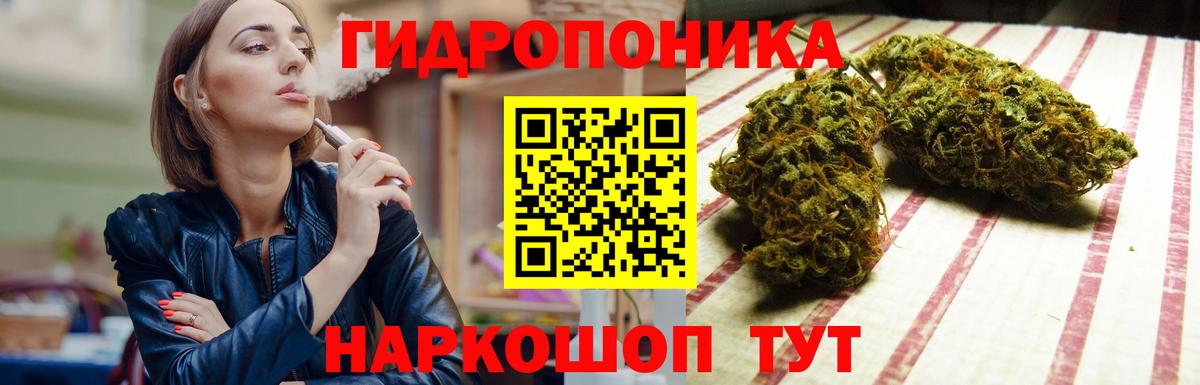 Бошки марихуана MAZAR  Вход с VPN  Марихуана гибрид  Истра  Марихуана OG Kush 